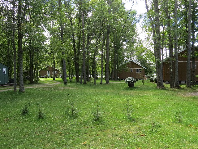 Home Page Last Pic Replacement